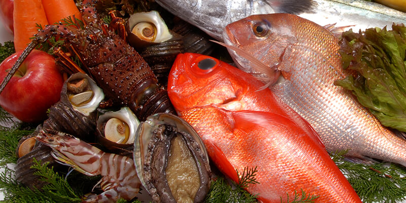 海幸水産の魚介類イメージ画像